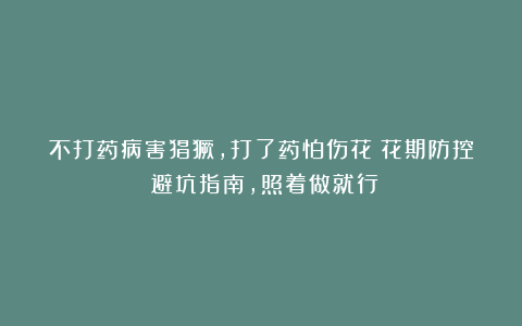 不打药病害猖獗，打了药怕伤花？花期防控​避坑指南，照着做就行