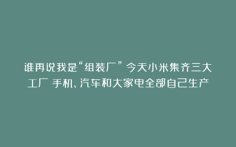 谁再说我是“组装厂”!今天小米集齐三大工厂:手机、汽车和大家电全部自己生产
