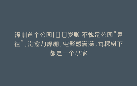 深圳首个公园100岁啦!不愧是公园“鼻祖”,治愈力爆棚,电影感满满,每棵树下都是一个小家~