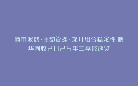债市波动·主动管理·提升组合稳定性|鹏华固收2025年三季报速览