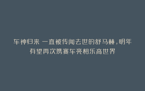 车神归来?一直被传闻去世的舒马赫,明年有望再次携赛车亮相乐高世界!