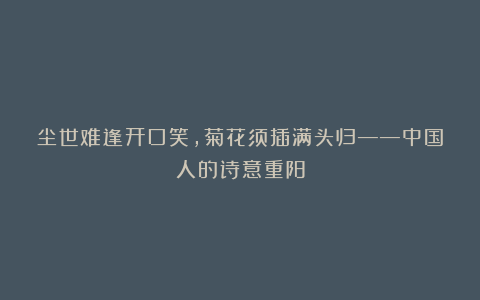 尘世难逢开口笑,菊花须插满头归——中国人的诗意重阳