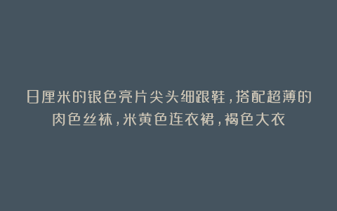 8厘米的银色亮片尖头细跟鞋,搭配超薄的肉色丝袜,米黄色连衣裙,褐色大衣