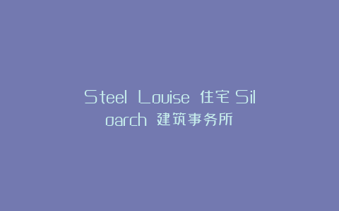 Steel Louise 住宅|Siloarch 建筑事务所