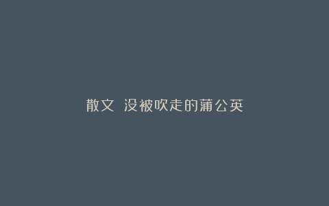 散文||没被吹走的蒲公英