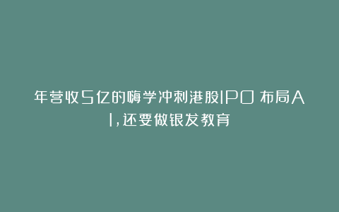 年营收5亿的嗨学冲刺港股IPO：布局AI，还要做银发教育