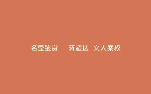 名壶鉴赏 | 蒋超达 文人秦权