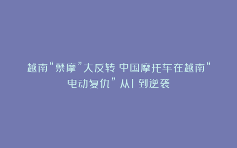越南“禁摩”大反转？中国摩托车在越南“电动复仇”：从1%到逆袭