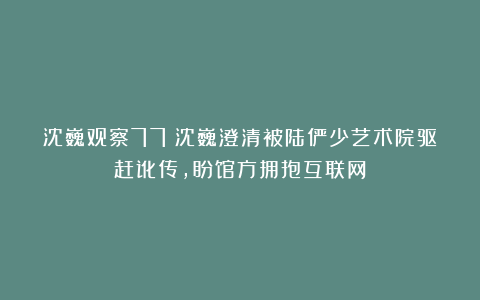 沈巍观察77：沈巍澄清被陆俨少艺术院驱赶讹传，盼馆方拥抱互联网