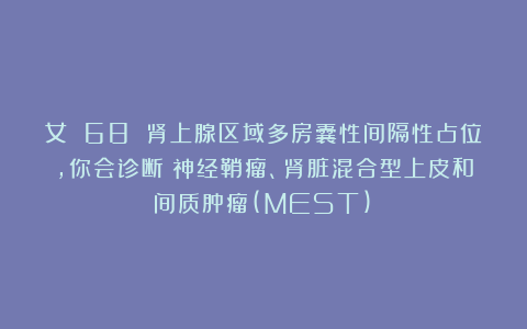 女 68 肾上腺区域多房囊性间隔性占位，你会诊断：神经鞘瘤、肾脏混合型上皮和间质肿瘤(MEST)？
