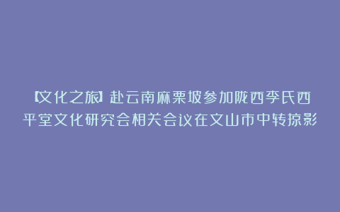 【文化之旅】赴云南麻栗坡参加陇西李氏西平堂文化研究会相关会议在文山市中转掠影