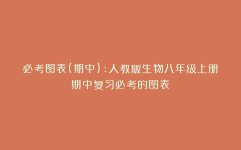 必考图表(期中):人教版生物八年级上册期中复习必考的图表
