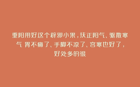 重阳用好这个辟邪小果,扶正阳气、驱散寒气!胃不痛了、手脚不凉了、宫寒也好了,好处多的很!