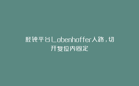 胫骨平台Lobenhoffer入路，切开复位内固定