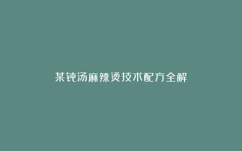 某骨汤麻辣烫技术配方全解