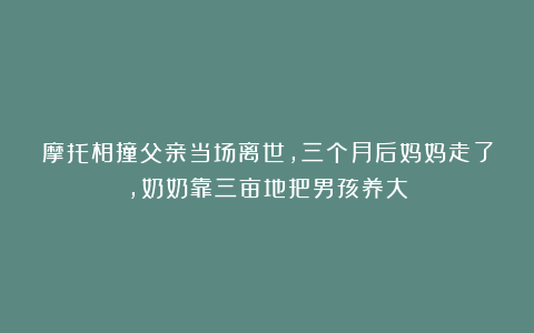 摩托相撞父亲当场离世，三个月后妈妈走了，奶奶靠三亩地把男孩养大