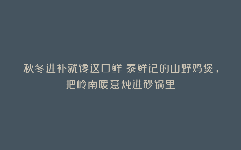 秋冬进补就馋这口鲜！泰鲜记的山野鸡煲，把岭南暖意炖进砂锅里