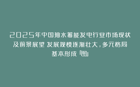 2025年中国抽水蓄能发电行业市场现状及前景展望：发展规模逐渐壮大，多元格局基本形成「图」