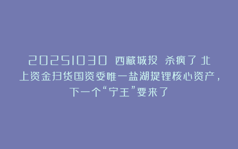 20251030 西藏城投 杀疯了！北上资金扫货国资委唯一盐湖提锂核心资产，下一个“宁王”要来了？