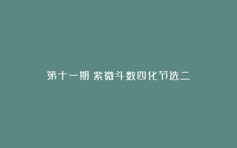 第十一期：紫微斗数四化节选二