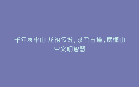 千年哀牢山:龙祖传说、茶马古道,读懂山中文明智慧