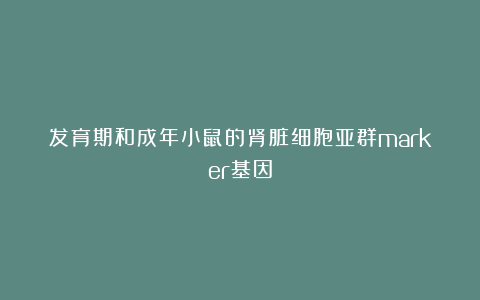 发育期和成年小鼠的肾脏细胞亚群marker基因