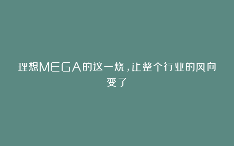 理想MEGA的这一烧，让整个行业的风向变了！