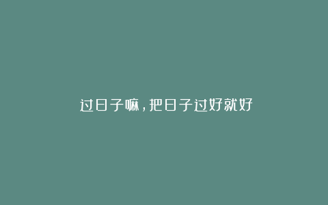 ​过日子嘛，把日子过好就好