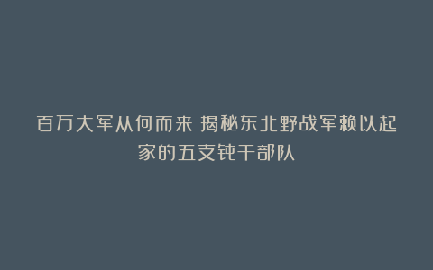 百万大军从何而来？揭秘东北野战军赖以起家的五支骨干部队