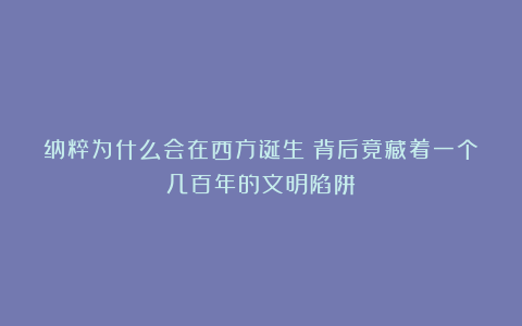 纳粹为什么会在西方诞生？背后竟藏着一个几百年的文明陷阱