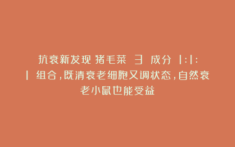 抗衰新发现：猪毛菜 3 成分 1:1:1 组合，既清衰老细胞又调状态，自然衰老小鼠也能受益