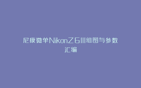 尼康微单NikonZ6III组图与参数汇编