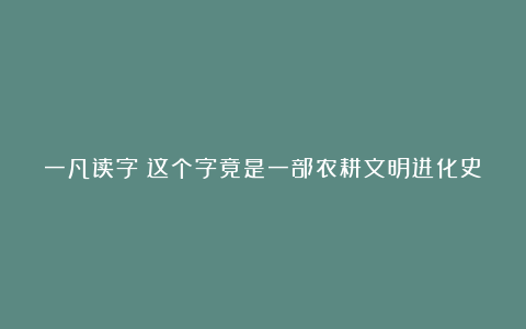 一凡读字丨这个字竟是一部农耕文明进化史