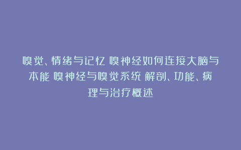 嗅觉、情绪与记忆：嗅神经如何连接大脑与本能（嗅神经与嗅觉系统：解剖、功能、病理与治疗概述）