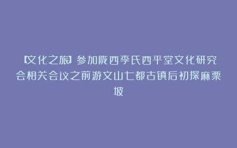 【文化之旅】参加陇西李氏西平堂文化研究会相关会议之前游文山七都古镇后初探麻栗坡