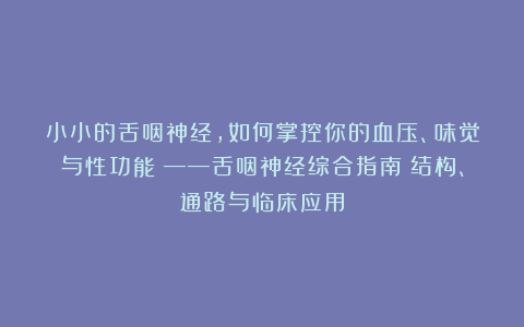 小小的舌咽神经,如何掌控你的血压、味觉与性功能?——舌咽神经综合指南:结构、通路与临床应用