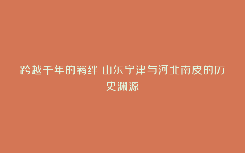 跨越千年的羁绊：山东宁津与河北南皮的历史渊源