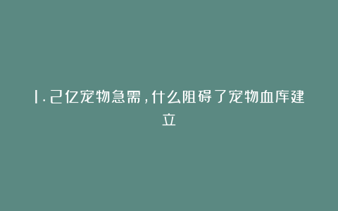 1.2亿宠物急需，什么阻碍了宠物血库建立？