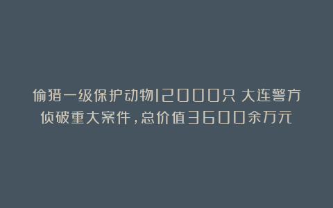 偷猎一级保护动物12000只！大连警方侦破重大案件，总价值3600余万元！
