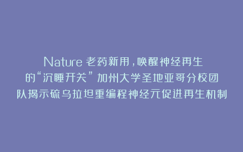 《Nature》老药新用，唤醒神经再生的“沉睡开关”！加州大学圣地亚哥分校团队揭示硫乌拉坦重编程神经元促进再生机制