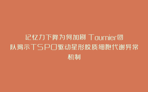 记忆力下降为何加剧？Tournier团队揭示TSPO驱动星形胶质细胞代谢异常机制