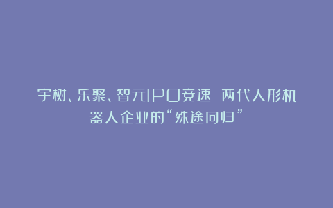 宇树、乐聚、智元IPO竞速 两代人形机器人企业的“殊途同归”？