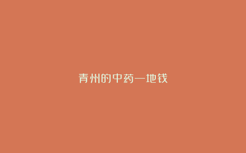青州的中药—地钱