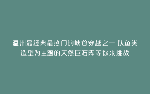 温州最经典最热门的峡谷穿越之一！以鱼类造型为主题的天然巨石阵等你来挑战！