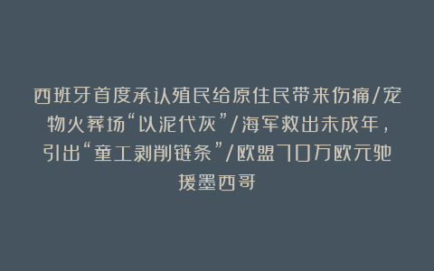 西班牙首度承认殖民给原住民带来伤痛/宠物火葬场“以泥代灰”/海军救出未成年,引出“童工剥削链条”/欧盟70万欧元驰援墨西哥