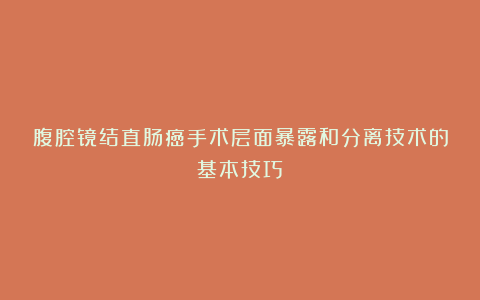 腹腔镜结直肠癌手术层面暴露和分离技术的基本技巧