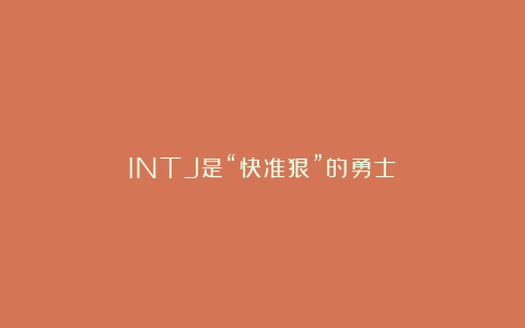 INTJ是“快准狠”的勇士
