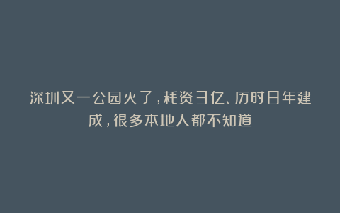 深圳又一公园火了,耗资3亿、历时8年建成,很多本地人都不知道