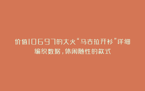 价值10697的大火“马吉拉开衫”详细编织数据，休闲随性的款式