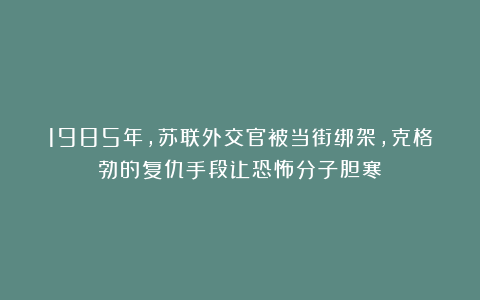 1985年，苏联外交官被当街绑架，克格勃的复仇手段让恐怖分子胆寒